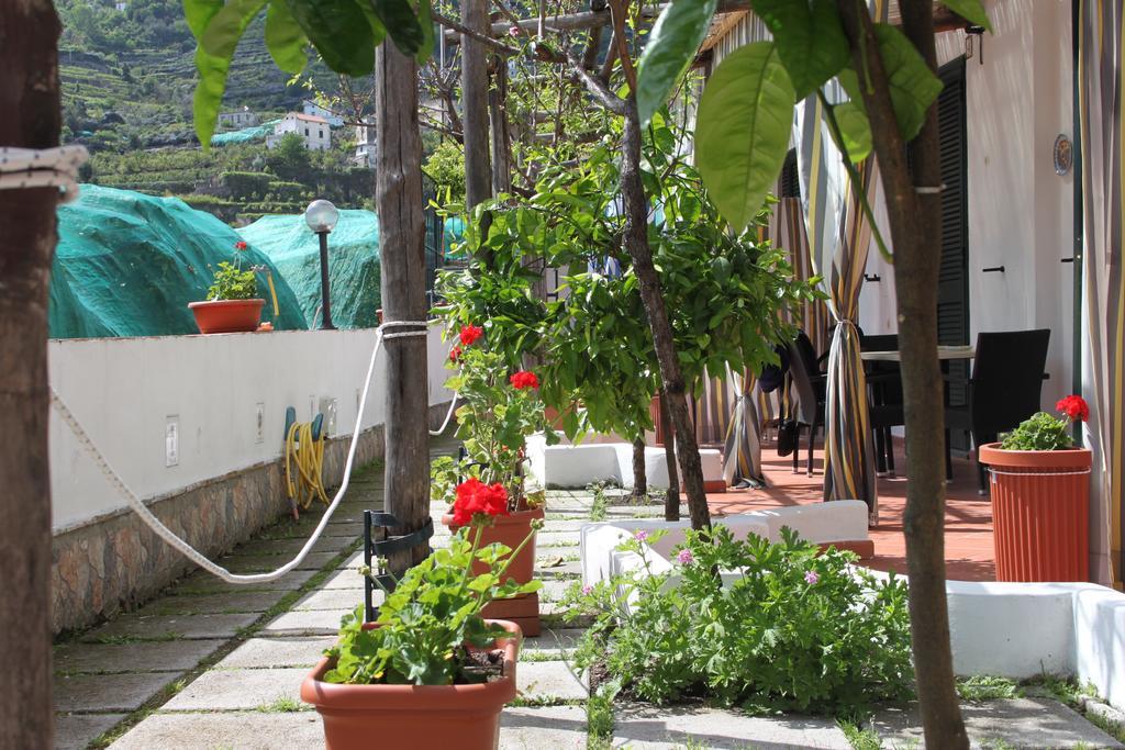 Eden Holiday Minori Exterior photo